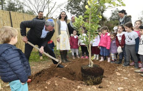 חגיגת בחירות בט"ו בשבט